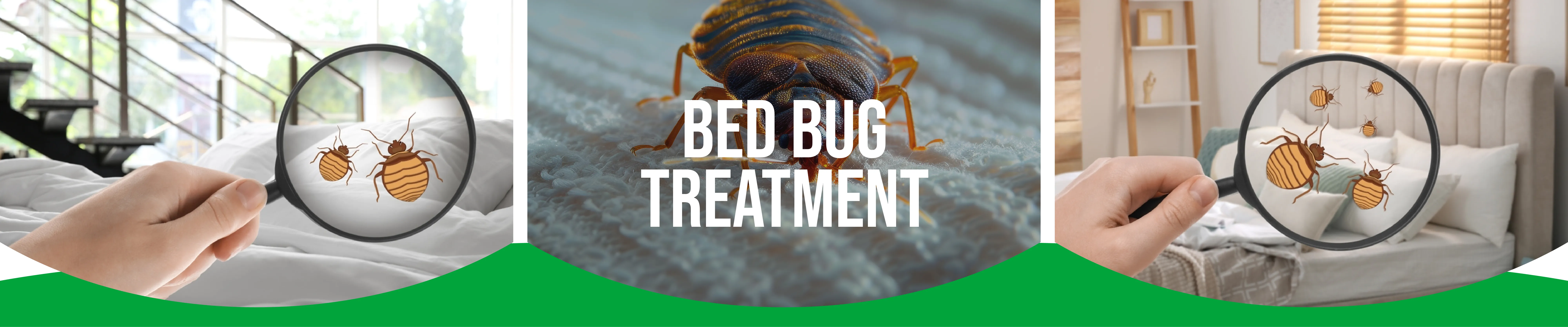 carpet cleaning in bronx, carpet cleaning bronx, carpet cleaners in bronx, carpet cleaners in bronx, commercial carpet cleaning, commercial carpet cleaning in bronx, bronx rug cleaners, rug cleaning services in bronx, same day carpet cleaning, same day rug cleaning in bronx