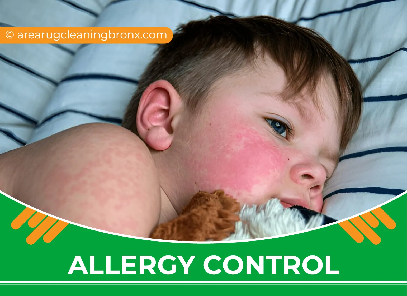 carpet cleaning in bronx, carpet cleaning bronx, carpet cleaners in bronx, carpet cleaners in bronx, commercial carpet cleaning, commercial carpet cleaning in bronx, bronx rug cleaners, rug cleaning services in bronx, same day carpet cleaning, same day rug cleaning in bronx