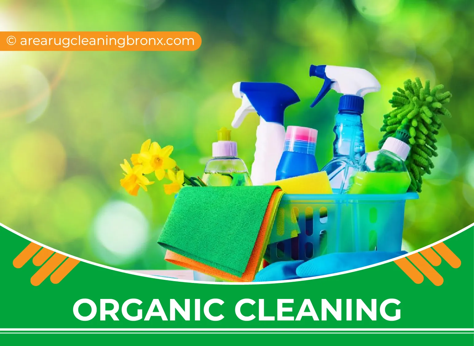 carpet cleaning in bronx, carpet cleaning bronx, carpet cleaners in bronx, carpet cleaners in bronx, commercial carpet cleaning, commercial carpet cleaning in bronx, bronx rug cleaners, rug cleaning services in bronx, same day carpet cleaning, same day rug cleaning in bronx